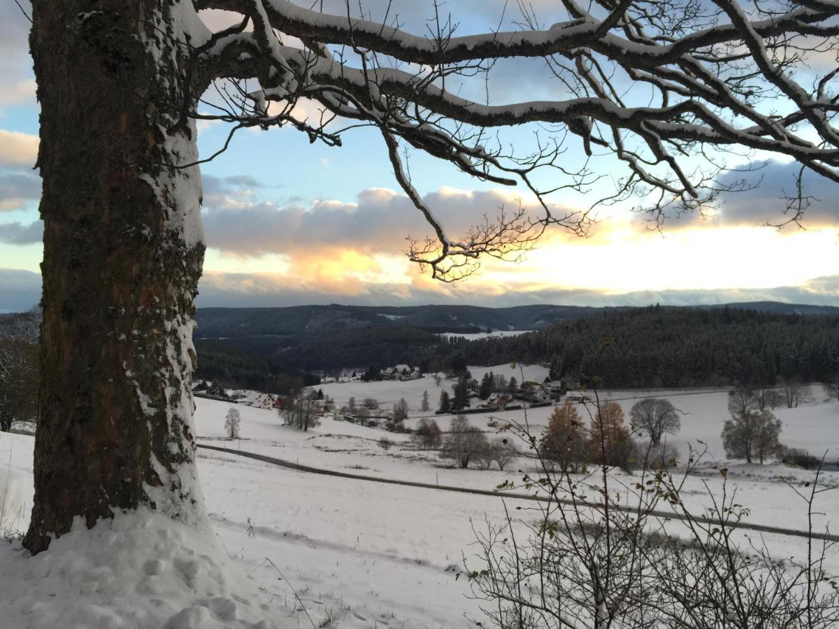 Fewo Fuchs Saig Lenzkirch Eksteriør bilde