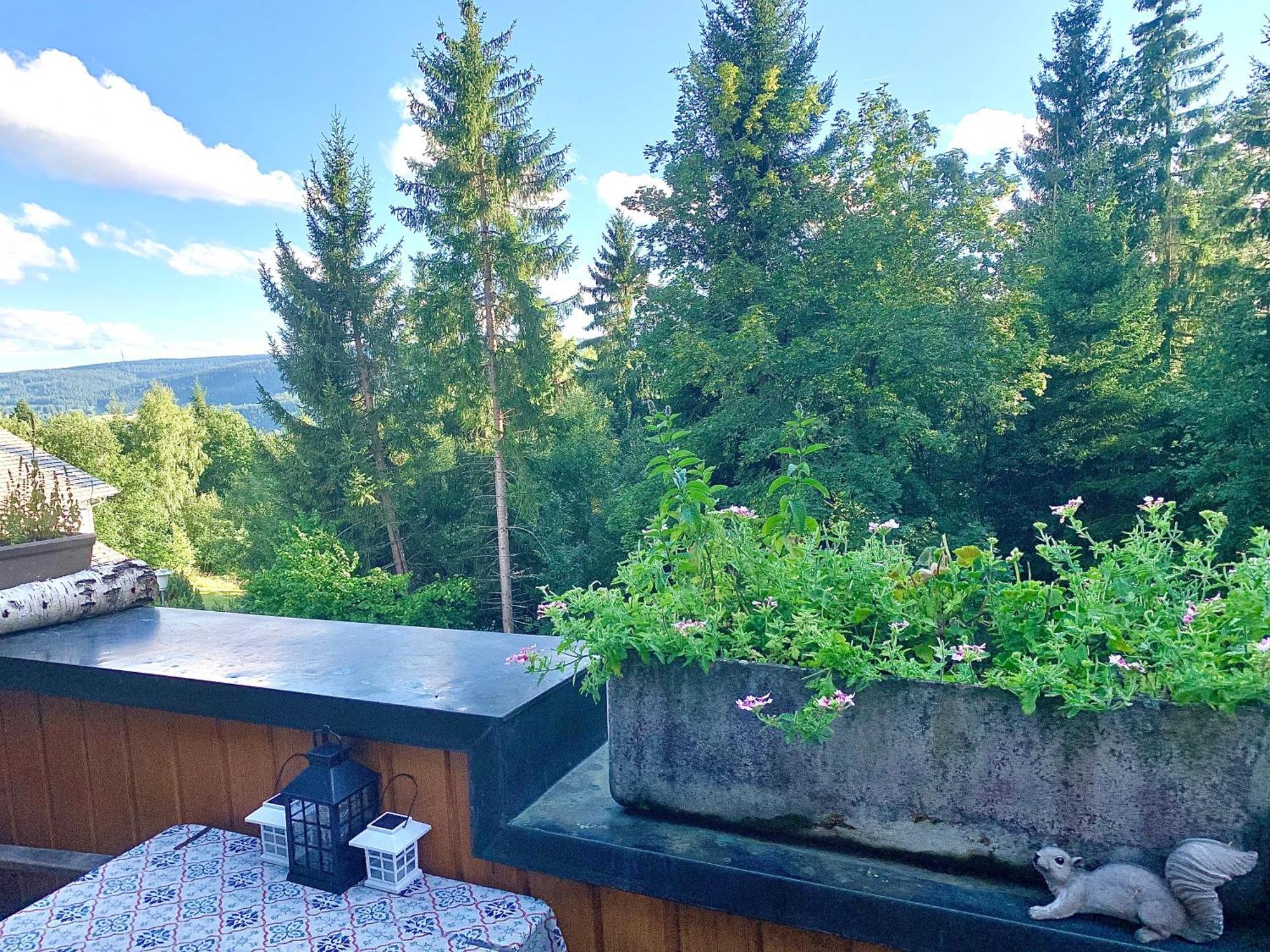 Fewo Fuchs Saig Lenzkirch Rom bilde