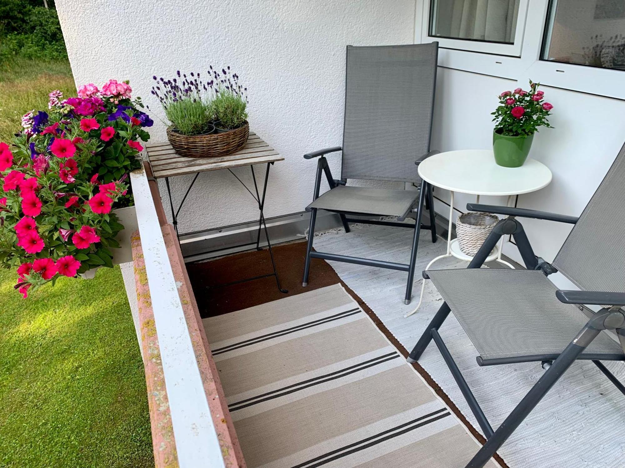 Fewo Fuchs Saig Lenzkirch Rom bilde